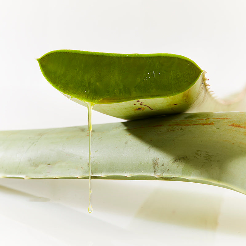 Ultimate Aloe™ 蘆薈汁