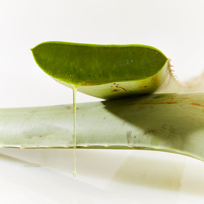 Ultimate Aloe™ 蘆薈汁